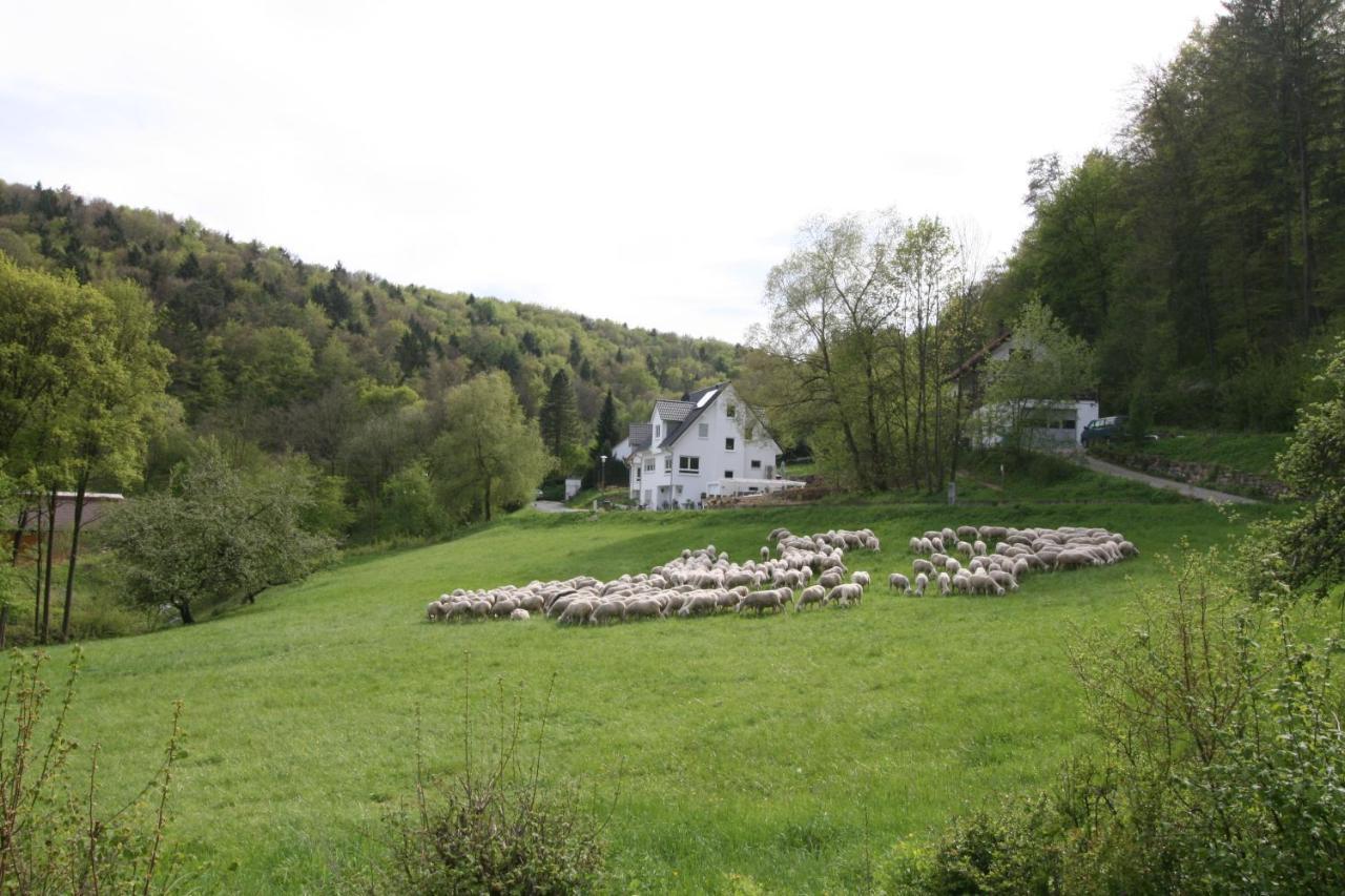 B&B Arlesbrunnen Egloffstein Dış mekan fotoğraf