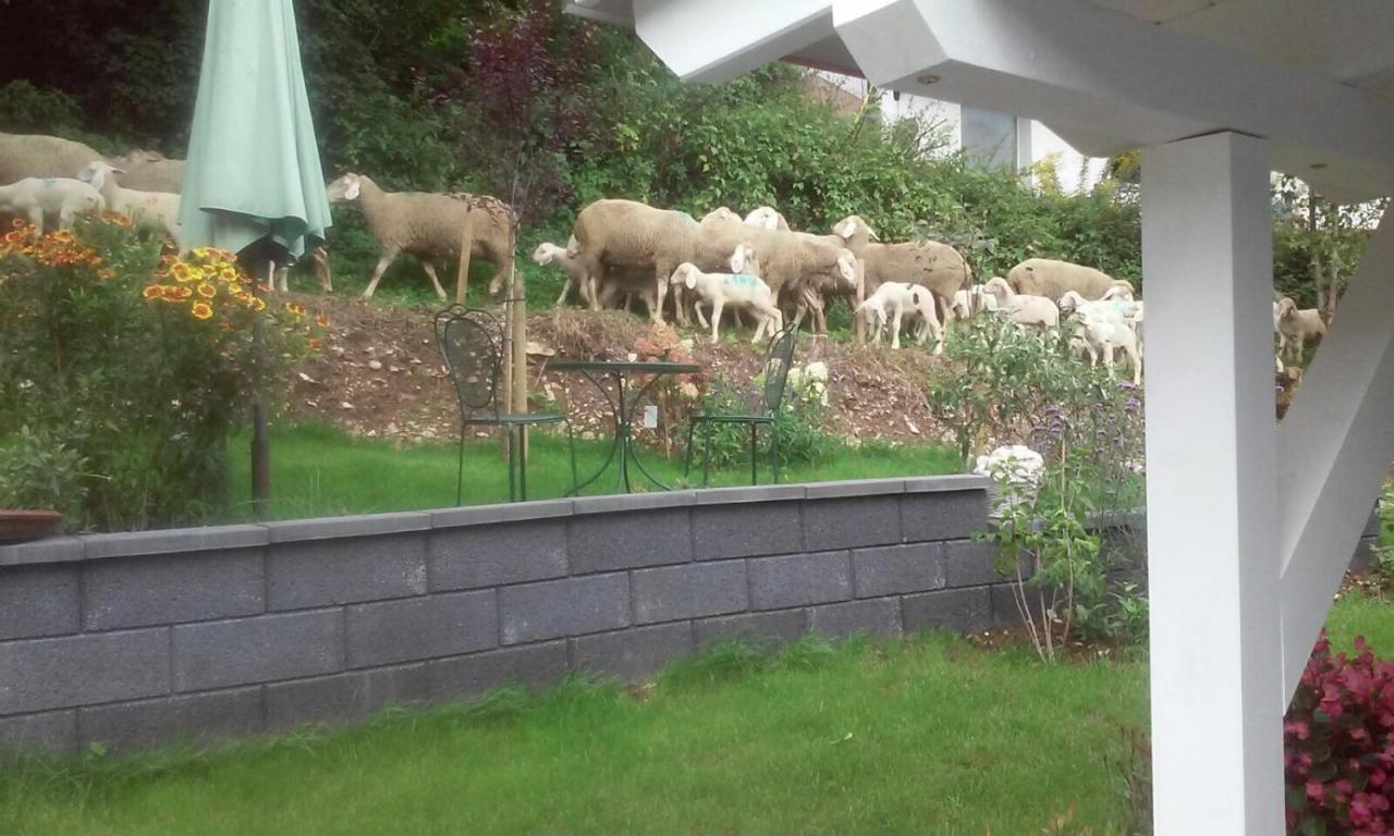 B&B Arlesbrunnen Egloffstein Dış mekan fotoğraf