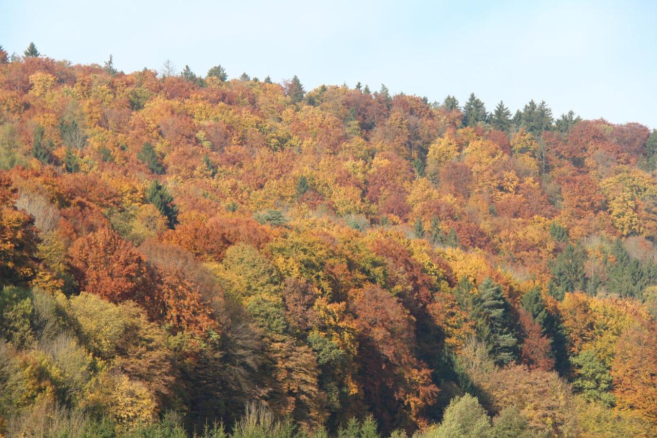 B&B Arlesbrunnen Egloffstein Dış mekan fotoğraf