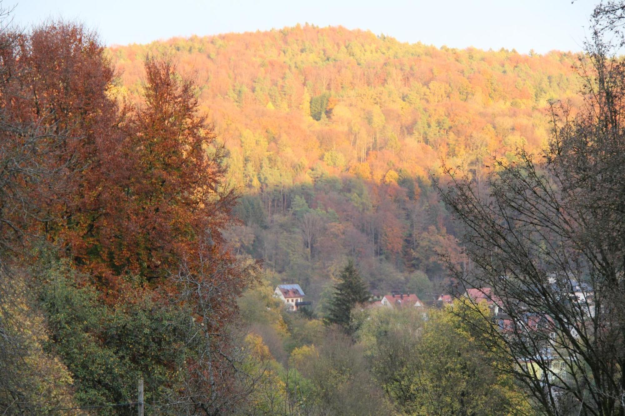 B&B Arlesbrunnen Egloffstein Dış mekan fotoğraf